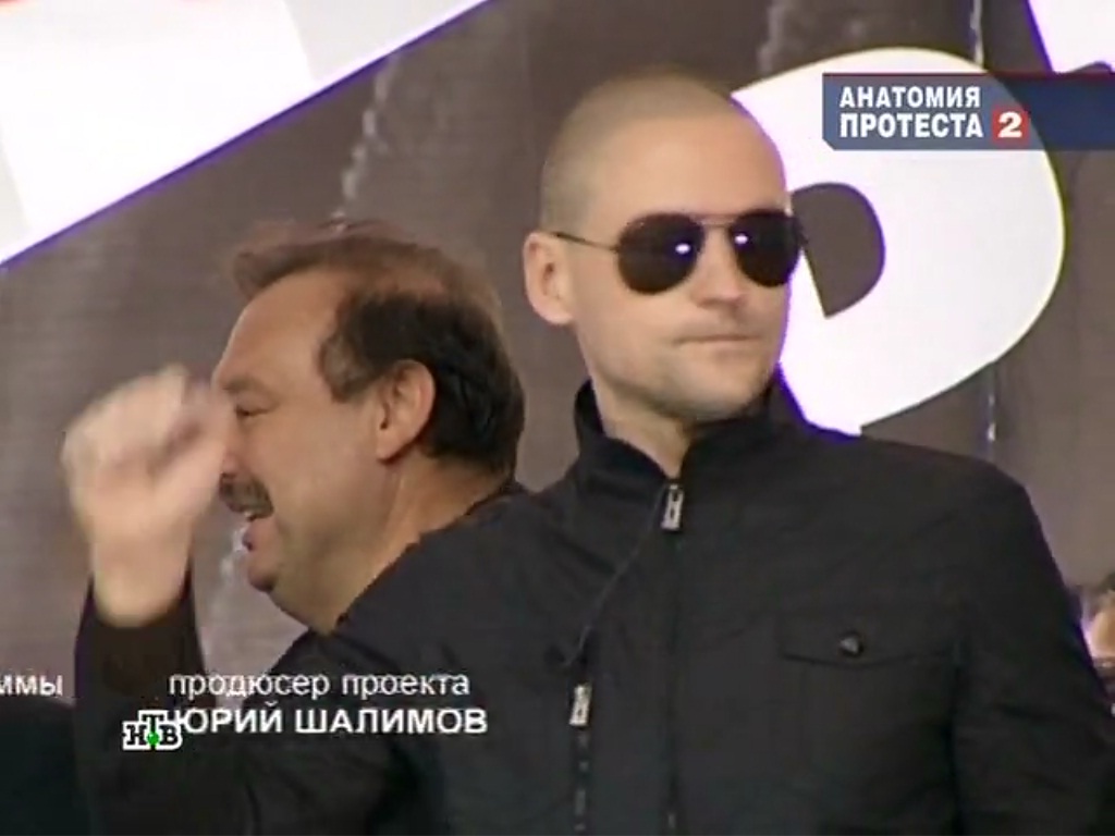 Дело «Анатомии протеста-2»